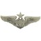 EagleEmblems P12643 Wing-USAF,Aircrew.Off,SR. (Mini) (1.25'')